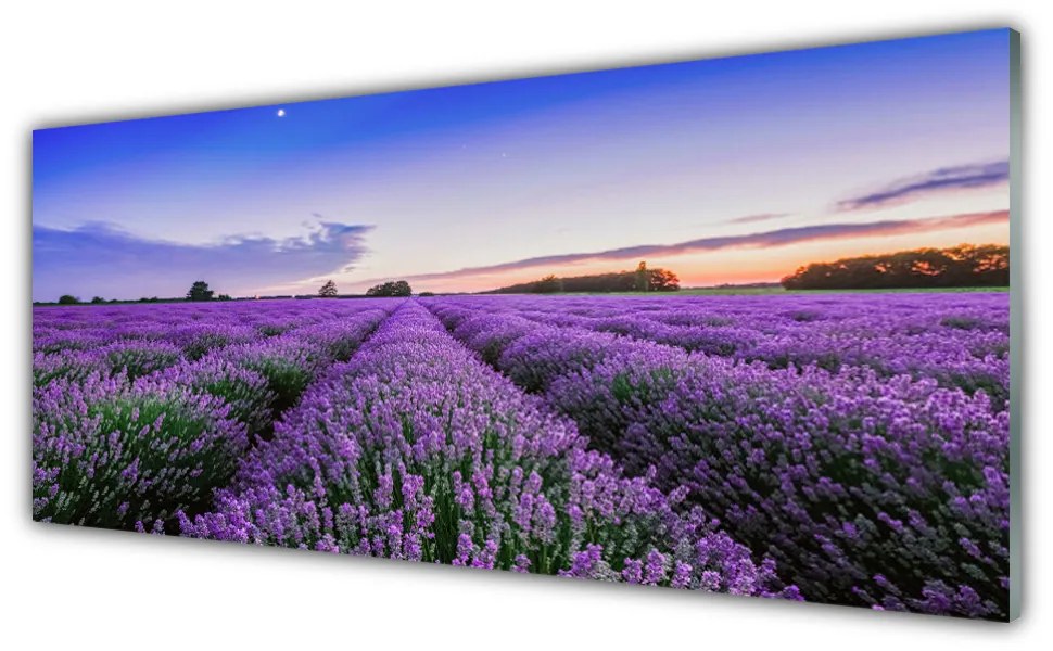Panel Kuchenny Łąka Kwiaty Natura Roślina