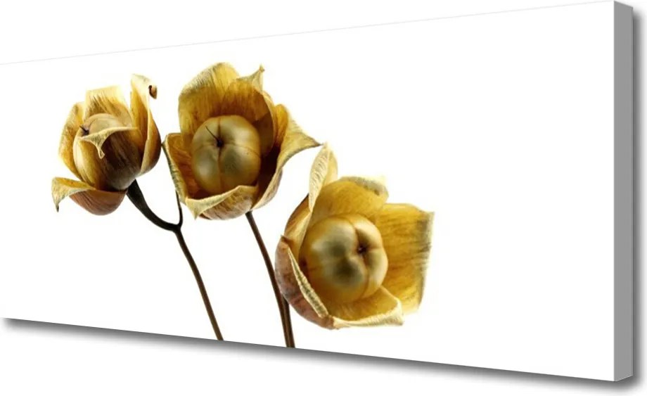 Obraz na płótnie Stylowa Flora Ścienna