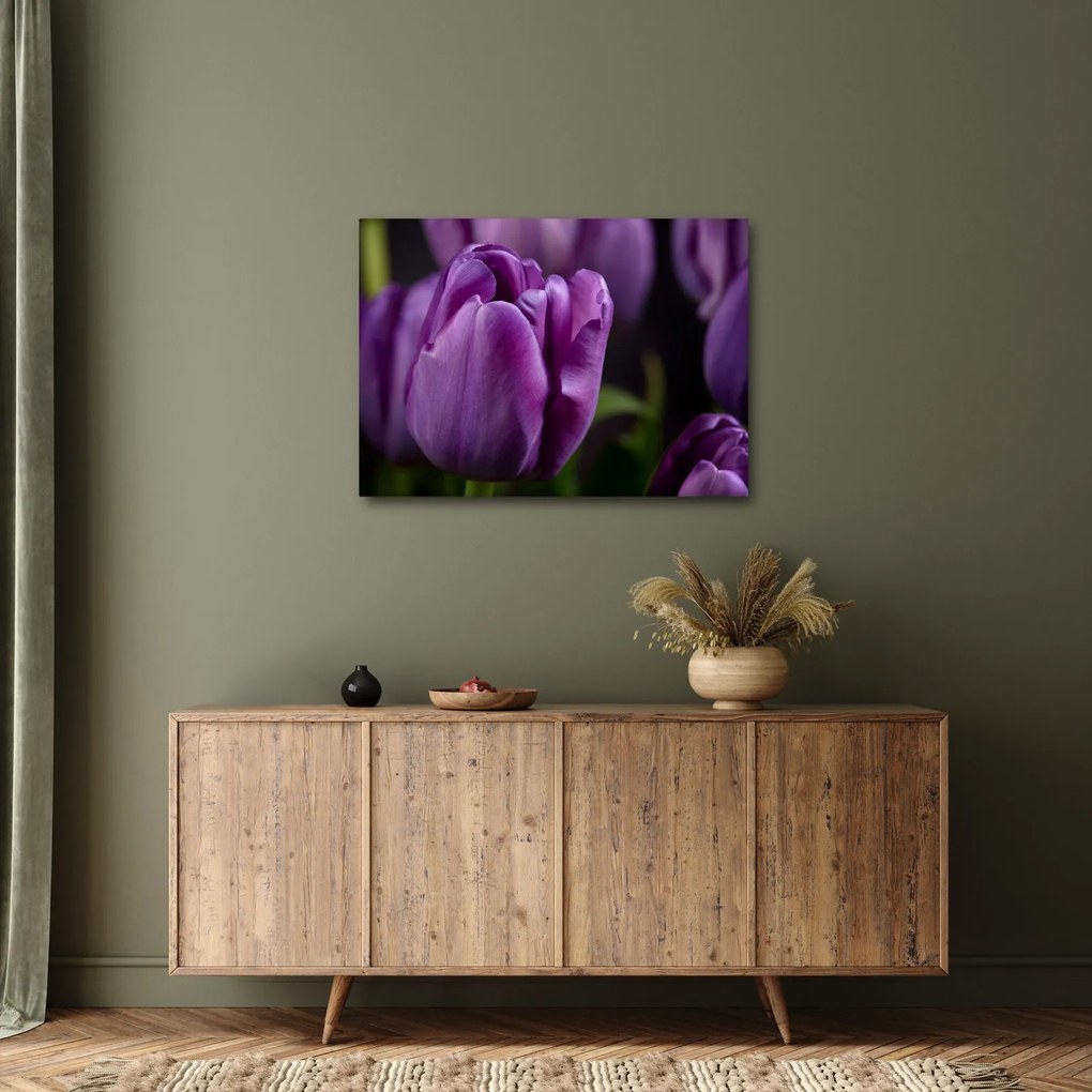Obraz kwiatów tulipanów (70x50 cm)