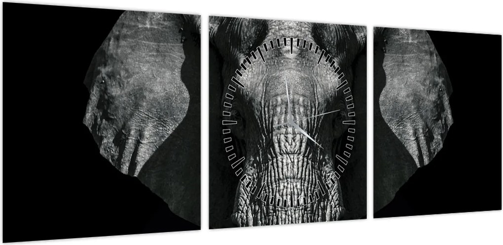 Obraz - Słoń na czarnym tle (z zegarem) (90x30 cm)