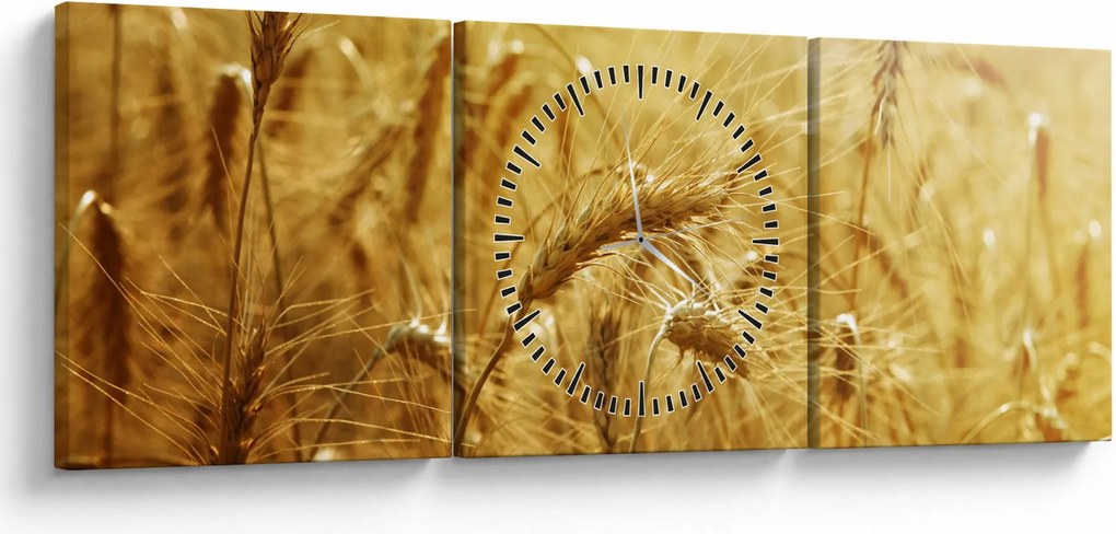 Obraz - Kłosy zboża (z zegarem) (90x30 cm)