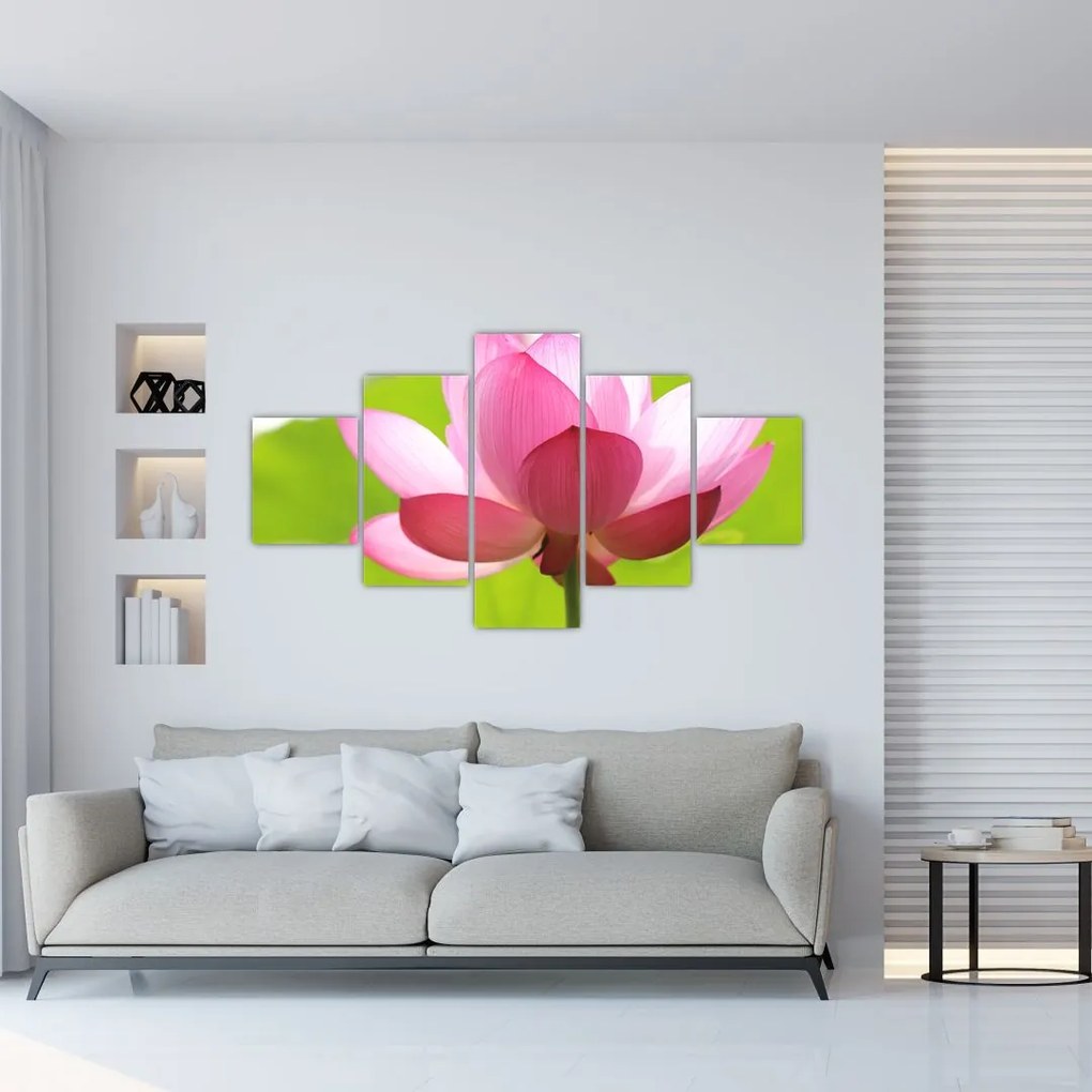 Obraz kwiatu lotosu (125x70 cm)
