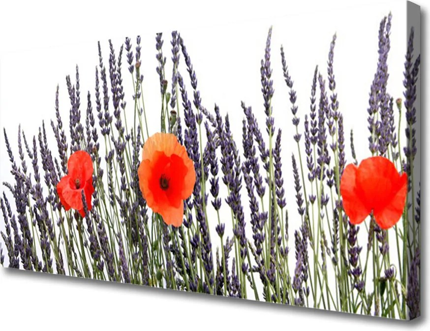 Obraz drukowany na płótnie Maki Tańczące na Wietrze