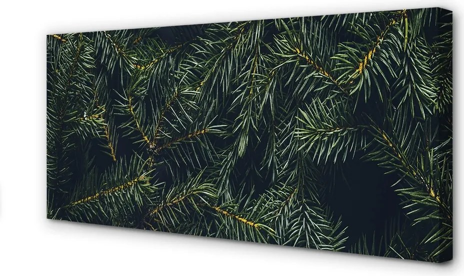 Zdjęcie na płótnie Gałązki i Choinka