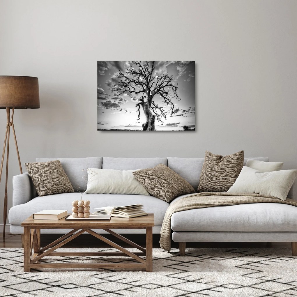 Obraz na szkle - Czarno - białe drzewo (70x50 cm)