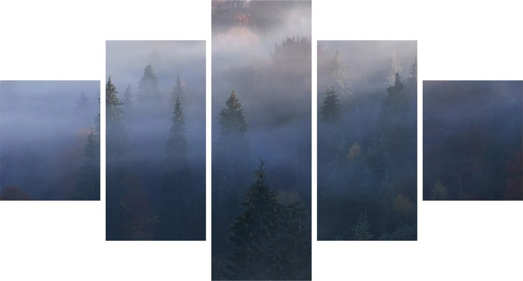 Obraz - Las we mgle, Karpaty, Ukraina (125x70 cm)
