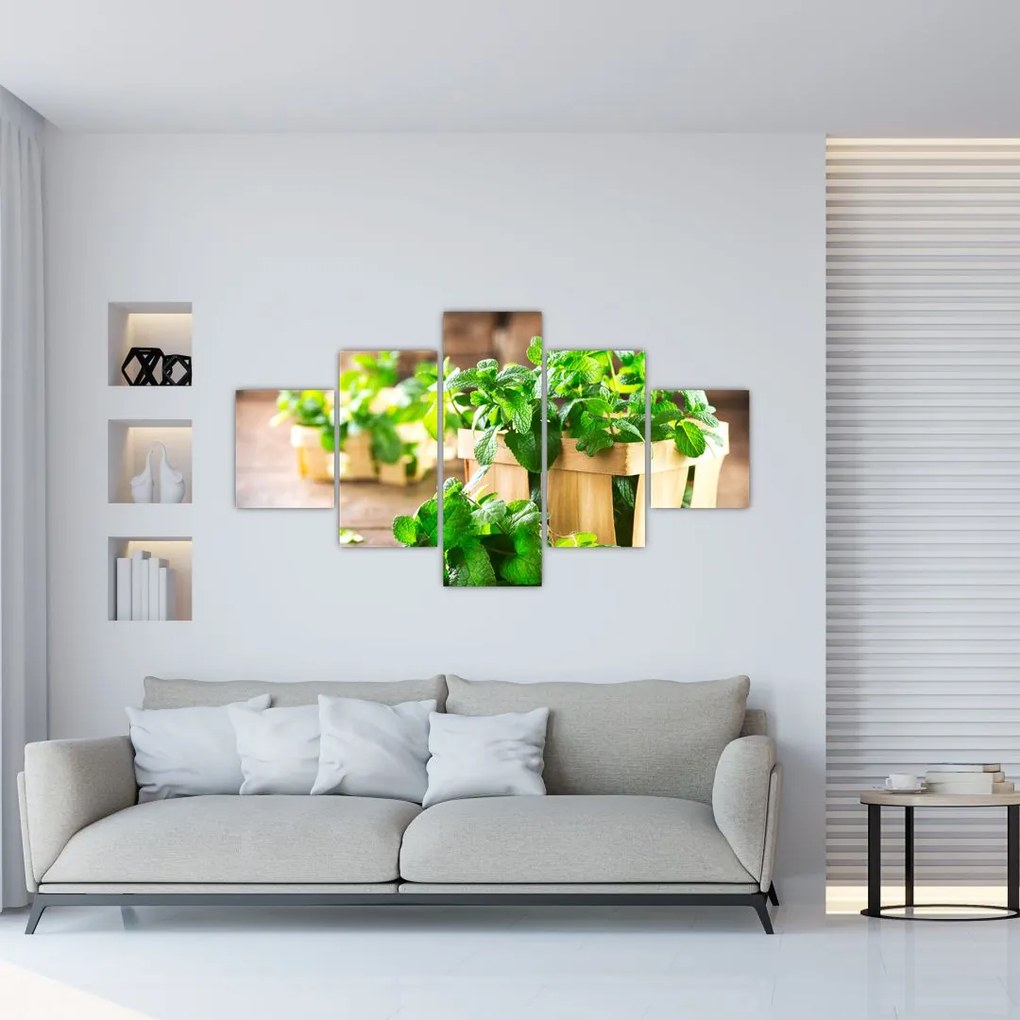 Obraz świeżej mięty (125x70 cm)