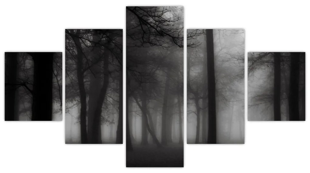 Obraz - Las we mgle (125x70 cm)
