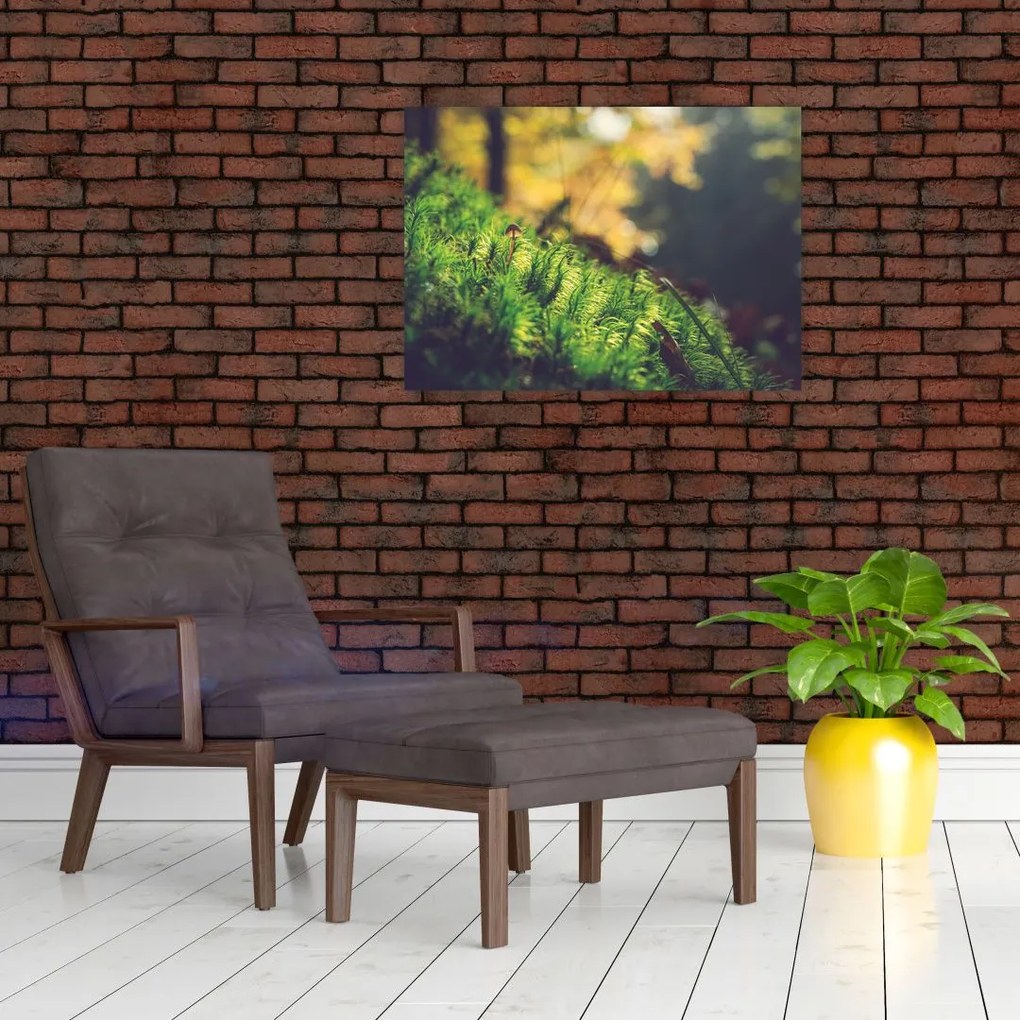Obraz mchu z grzybem (70x50 cm)