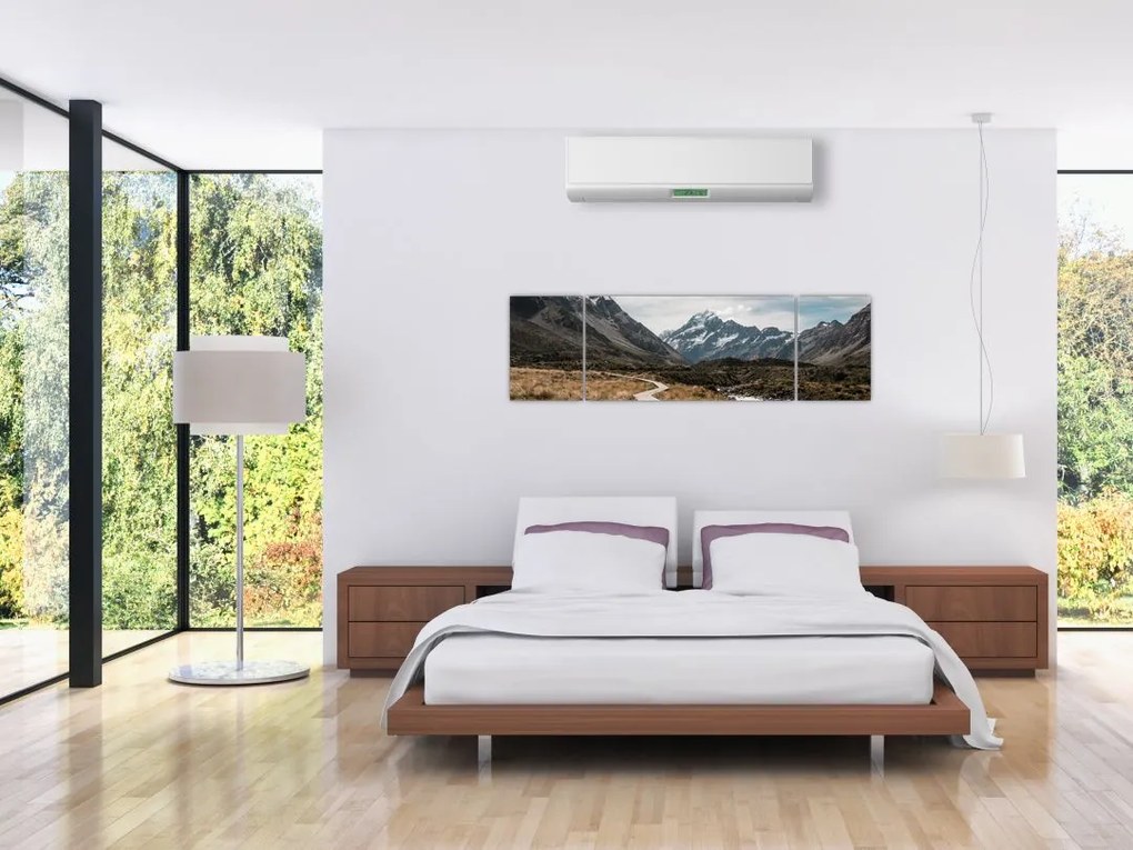 Obraz - Chodnik w dolinie góry Mt. Cook (170x50 cm)