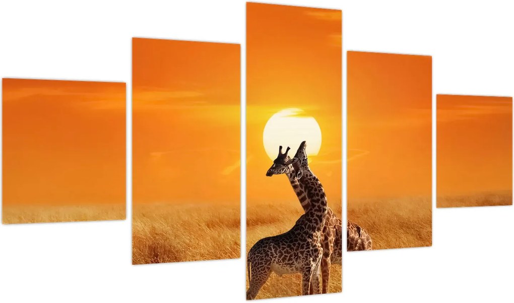 Obraz - Żyrafy w Parku Narodowym Serengeti (125x70 cm)