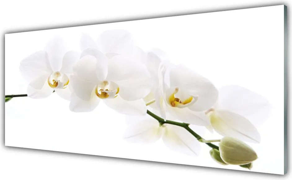 Szkło Ozdobne do Kuchni Egzotyczna Elegancja Orchidei