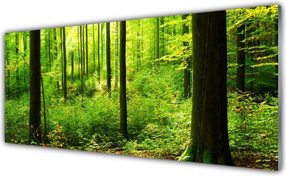 Szkło do Kuchni na Ścianę Gęsty Bór Liściasty