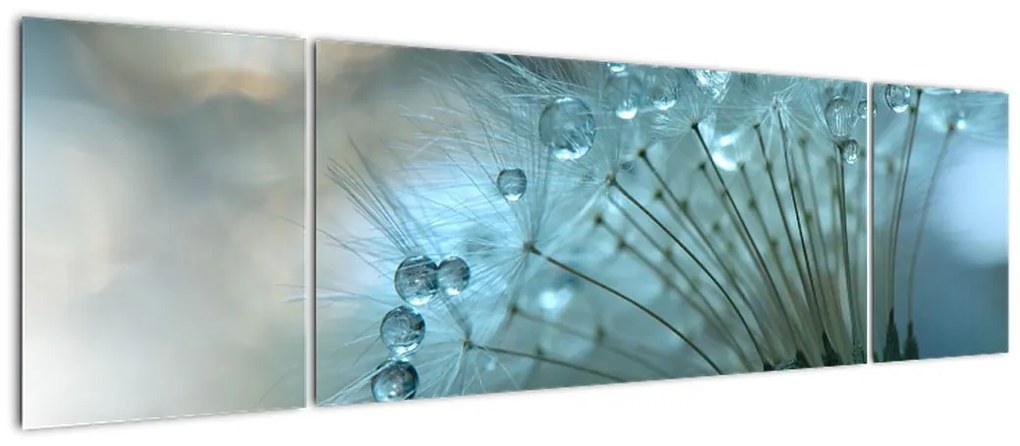 Obraz - Dmuchawiec - nafta (170x50 cm)