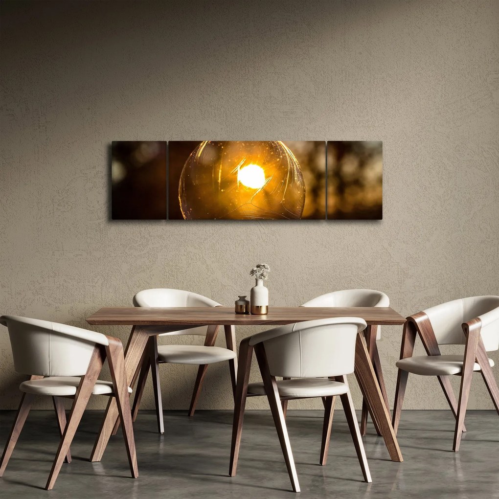 Obraz - Przezroczysta bańka (170x50 cm)