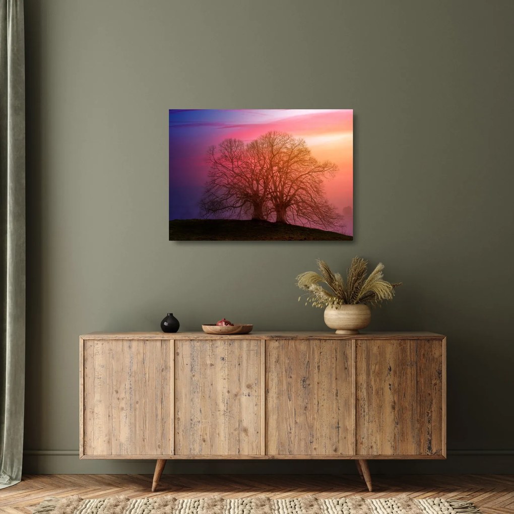 Obraz na szkle - drzewa we mgle (70x50 cm)