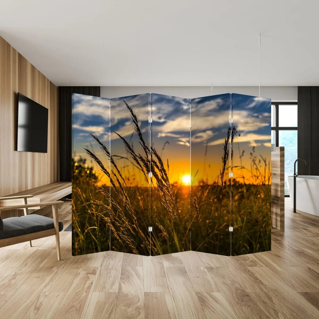 Parawan - Pole o zachodzie Słońca (210x170 cm)