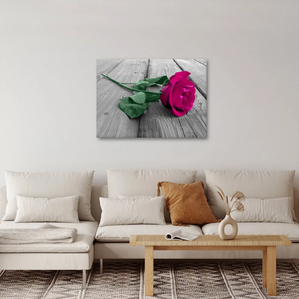 Obraz - Różowa róża z zieloną łodygą (70x50 cm)