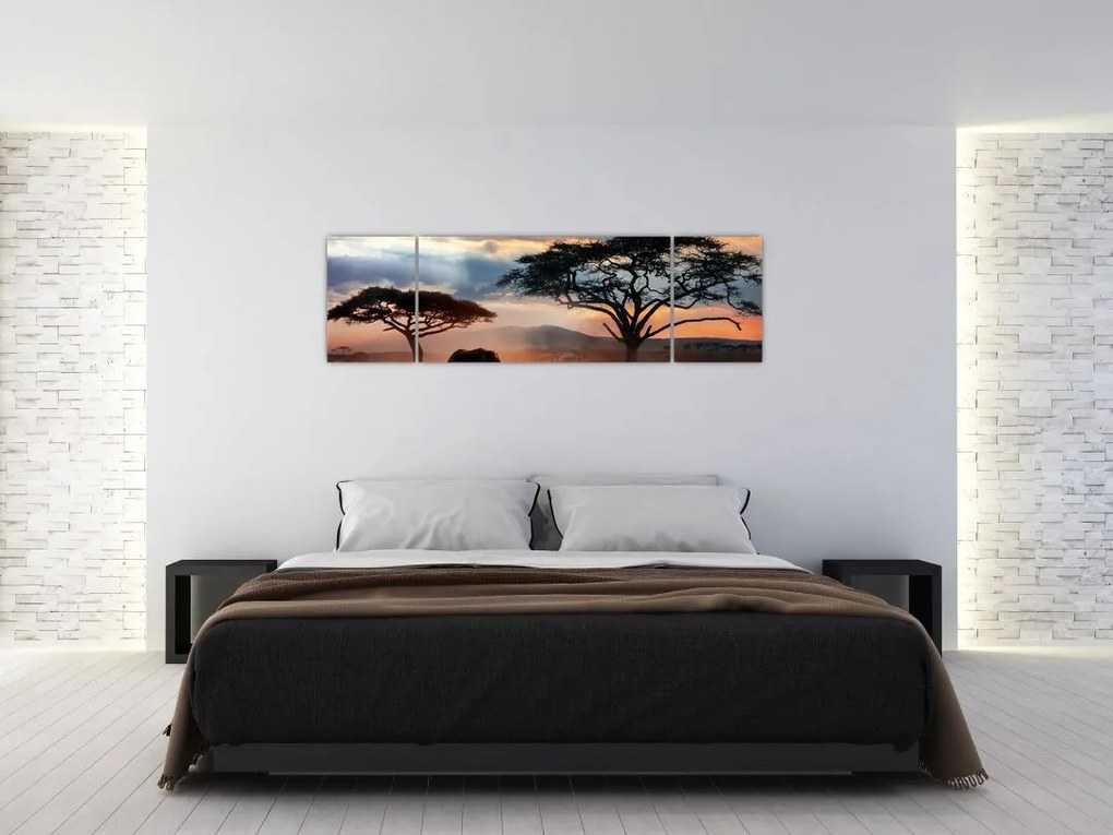 Obraz - Park Narodowy Serengeti, Tanzania, Afryka (170x50 cm)