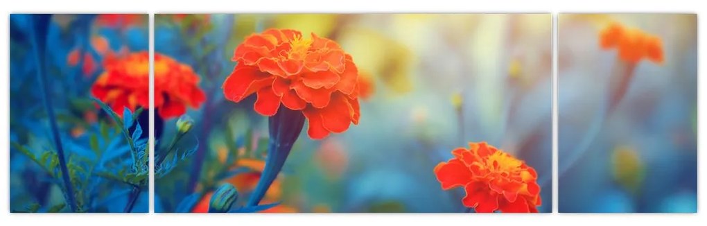 Obraz - Pomarańczowe kwiaty (170x50 cm)