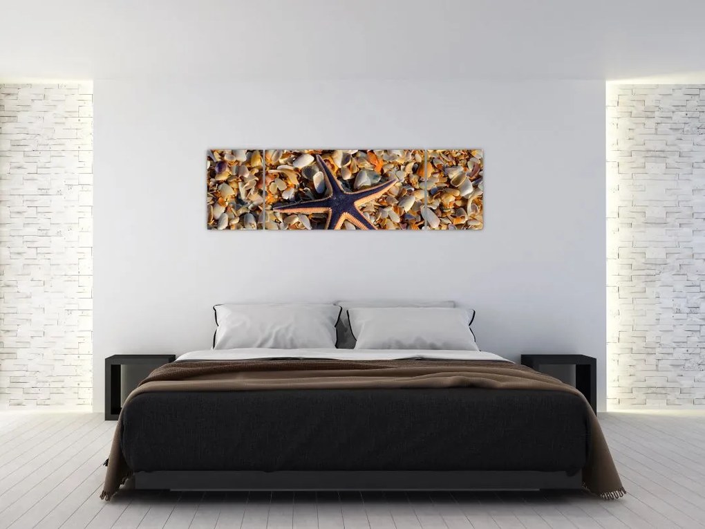 Obraz rozgwiazdy (170x50 cm)