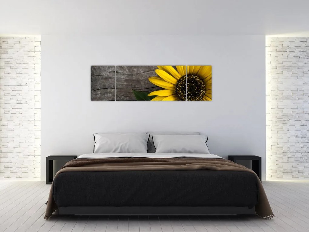 Obraz - Kwiat słonecznika (170x50 cm)