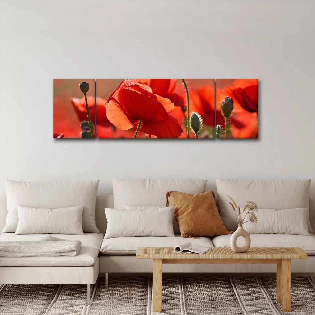 Obraz maków (170x50 cm)