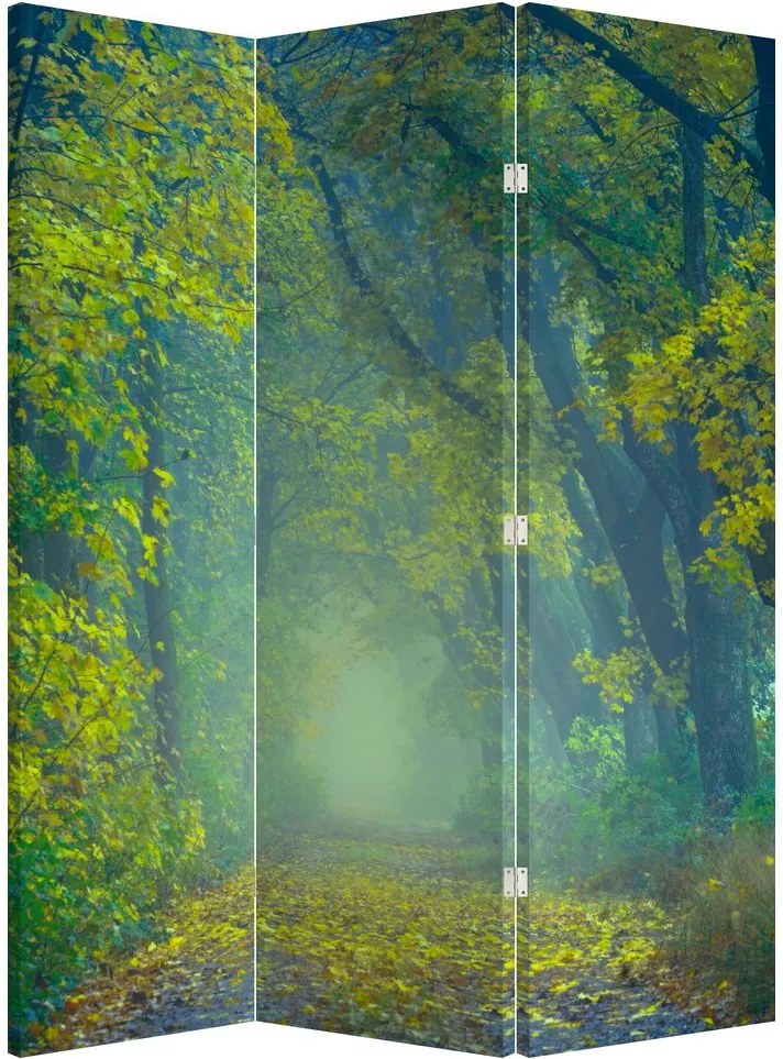 Parawan - Ścieżka wysadzana drzewami (126x170 cm)