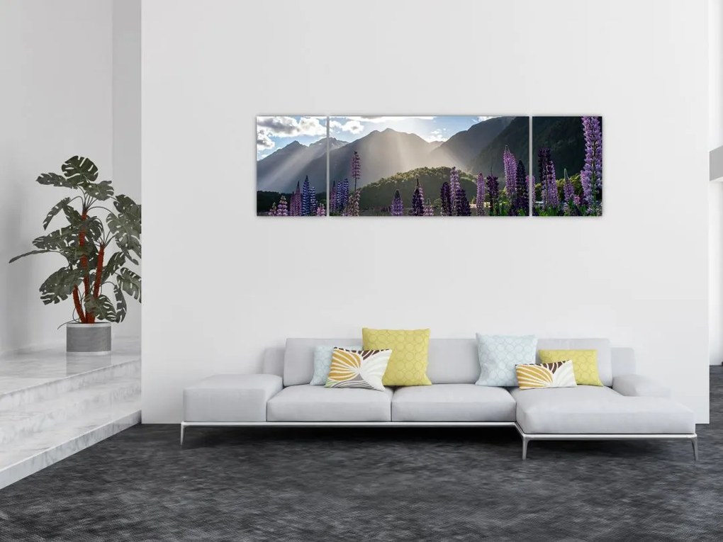 Obraz - Sceneria łubinów (170x50 cm)