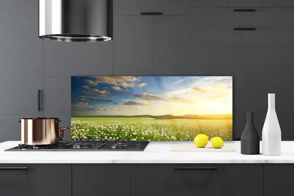 Panel Szklany Barwna Panorama Polnej Łąki