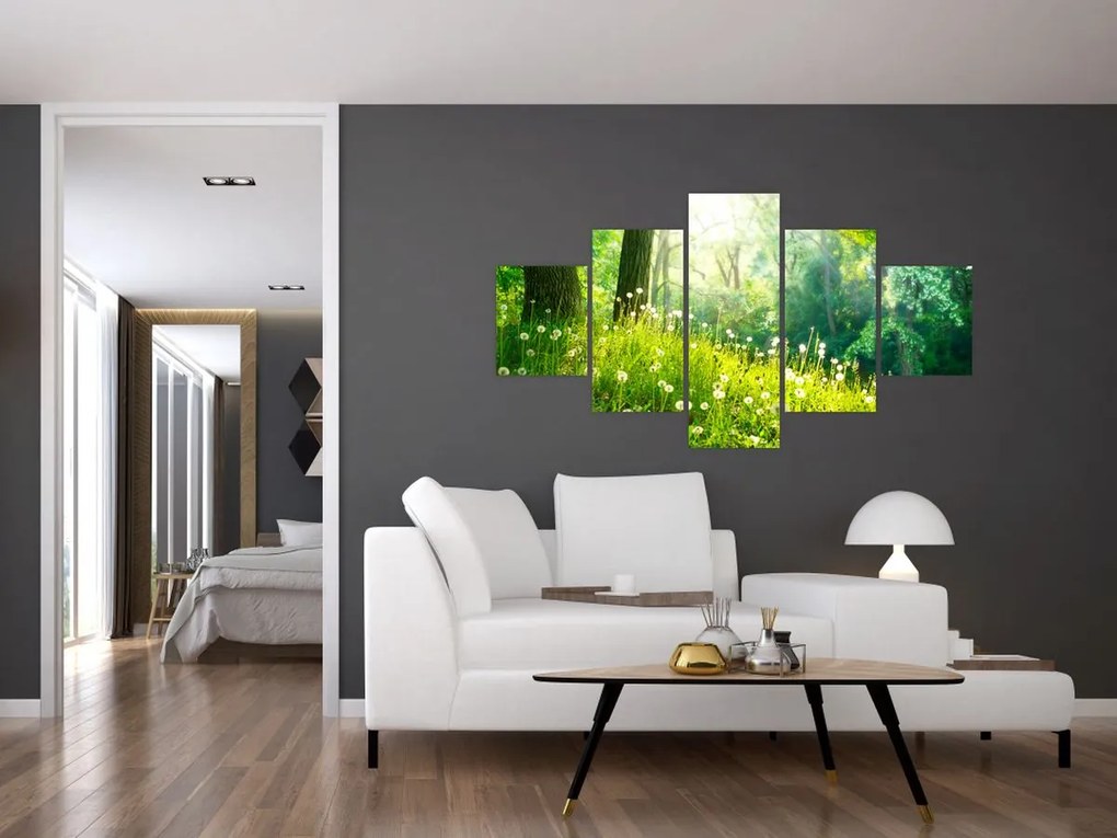 Obraz - Magiczna łąka pełna mniszków lekarskich (125x70 cm)