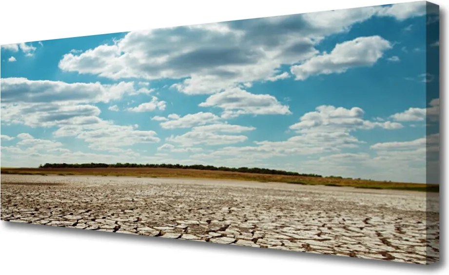 Obraz drukowany na płótnie Złociste Piaski Sahary