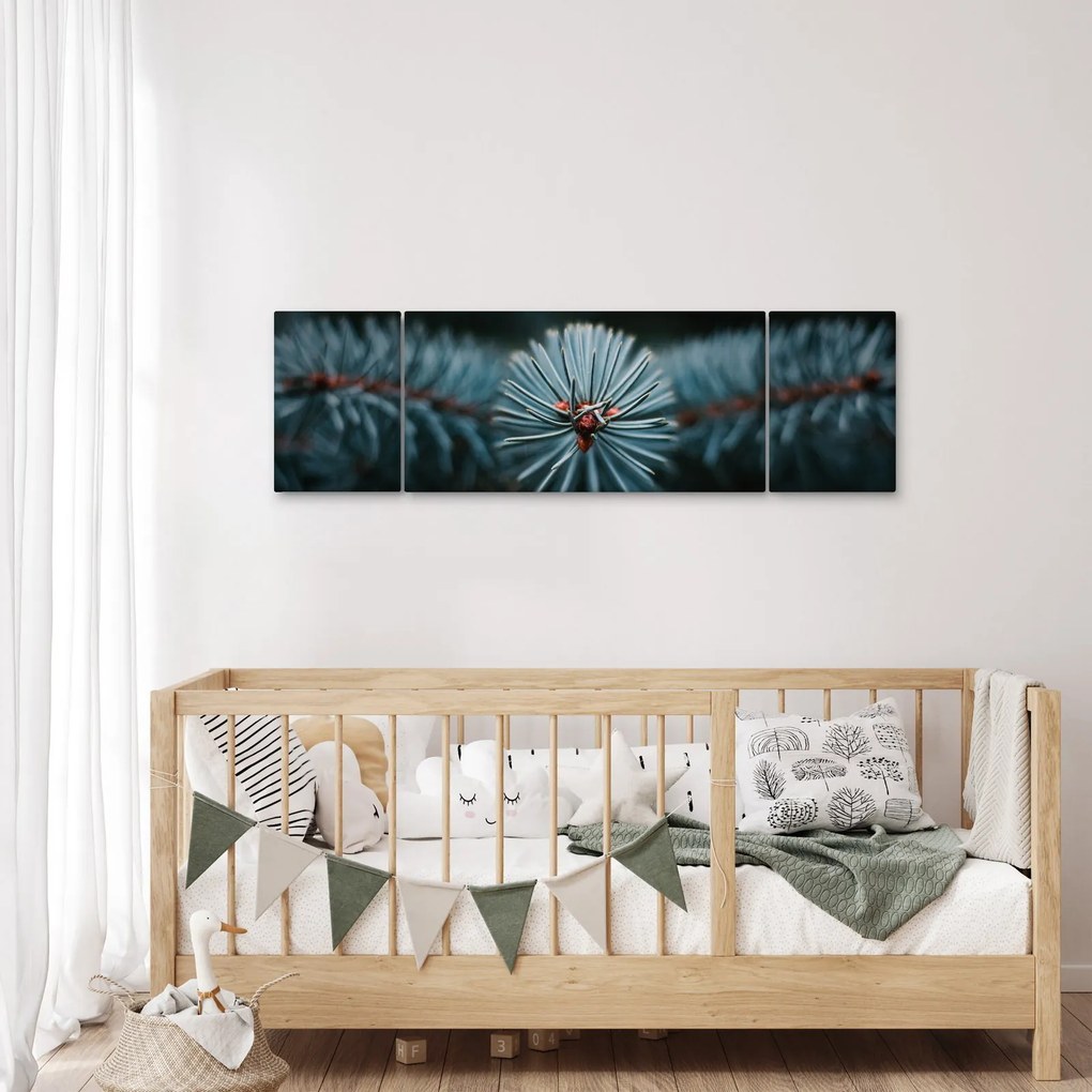 Obraz gałązki drzewa iglastego (170x50 cm)