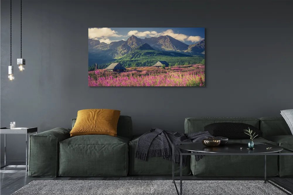 Obraz drukowany na płótnie Góry, Pola i Domki