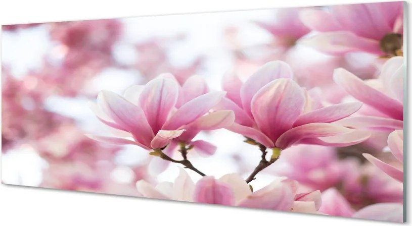 Szklany Panel Wiosenne Drzewa Magnolii