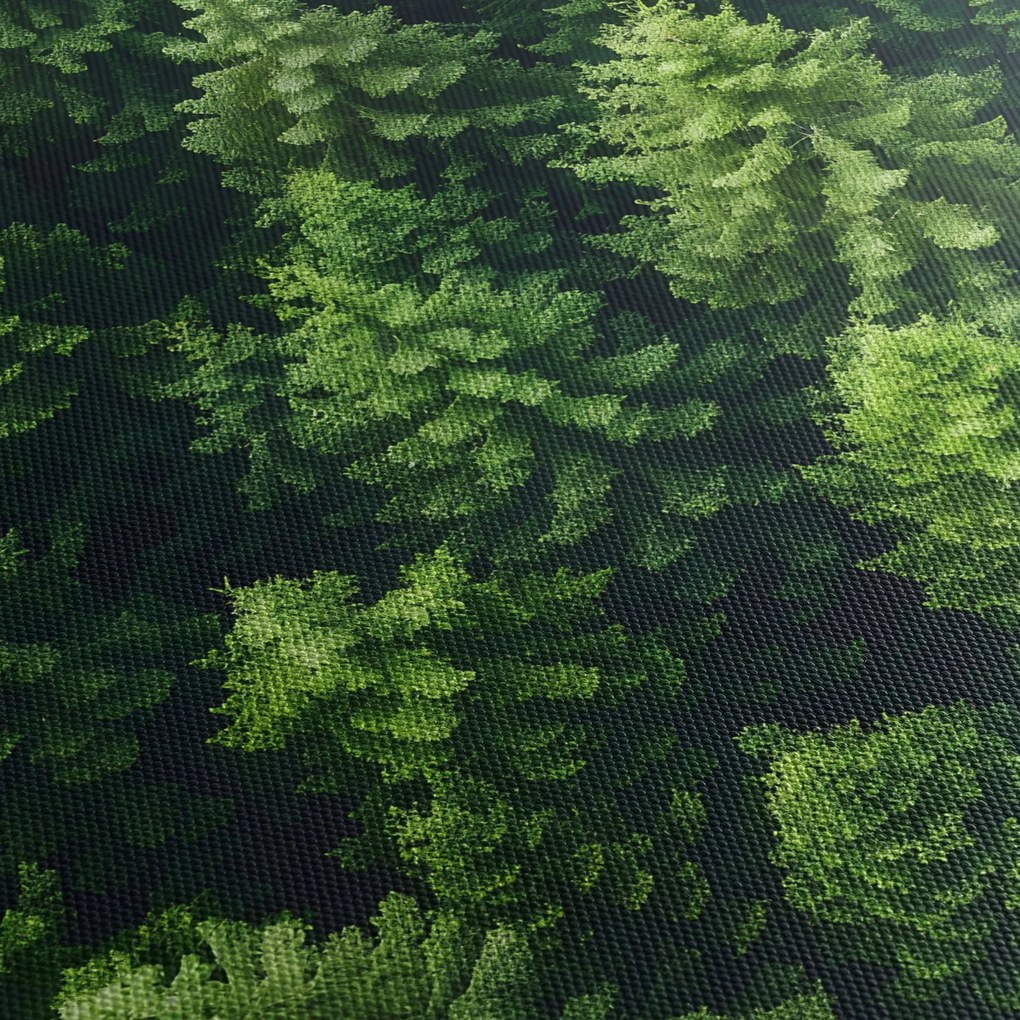 Obraz - Las (125x70 cm)