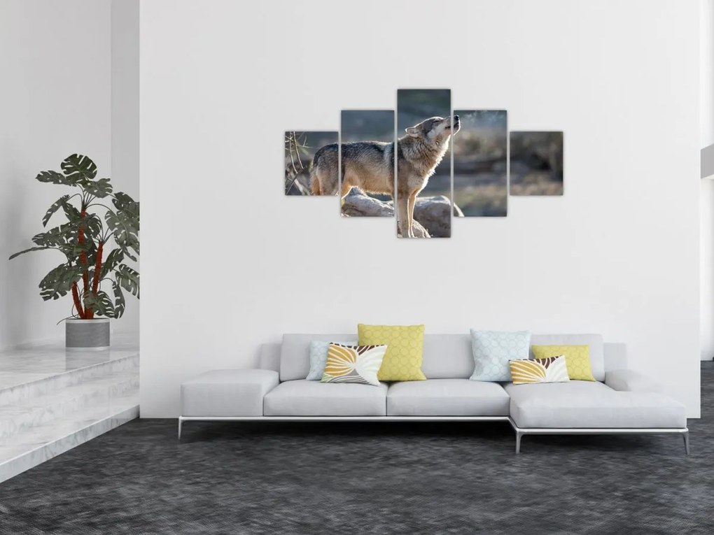 Obraz - Wyjący Wilk (125x70 cm)