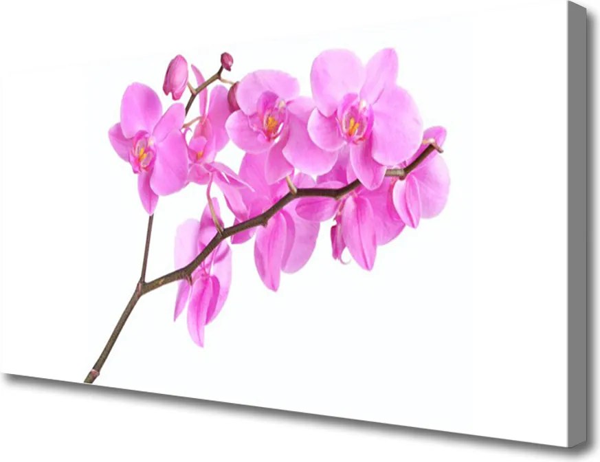 Obraz canvas Pastelowy Ogród Kwiatowy