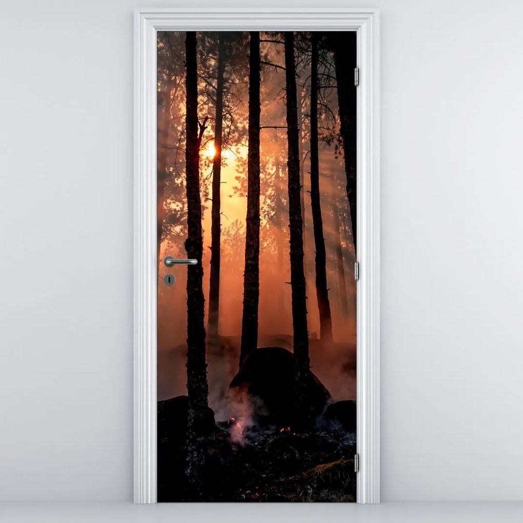 Fototapeta na drzwi - Ciemny las (95x205cm)