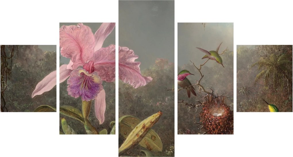 Obraz - Martin Johnson Heade, Cattleya Orchid and Three Hummingbirds, reprodukcje (125x70 cm)