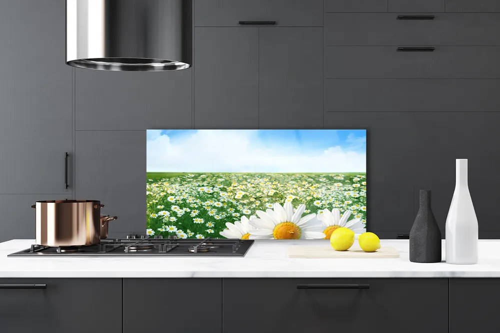 Szkło do Kuchni na Ścianę Dywan Białych Stokrotek