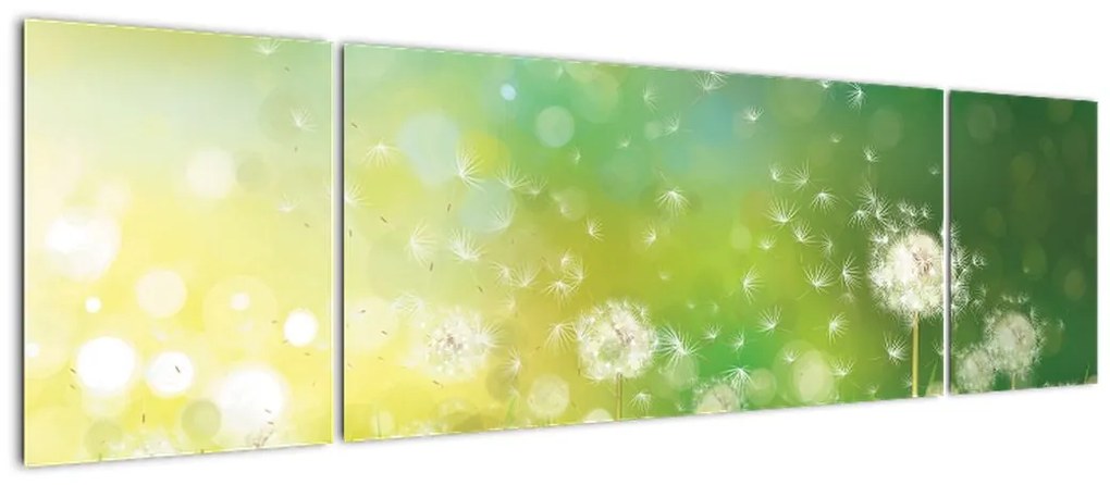 Obraz - Kwitnące mlecze (170x50 cm)
