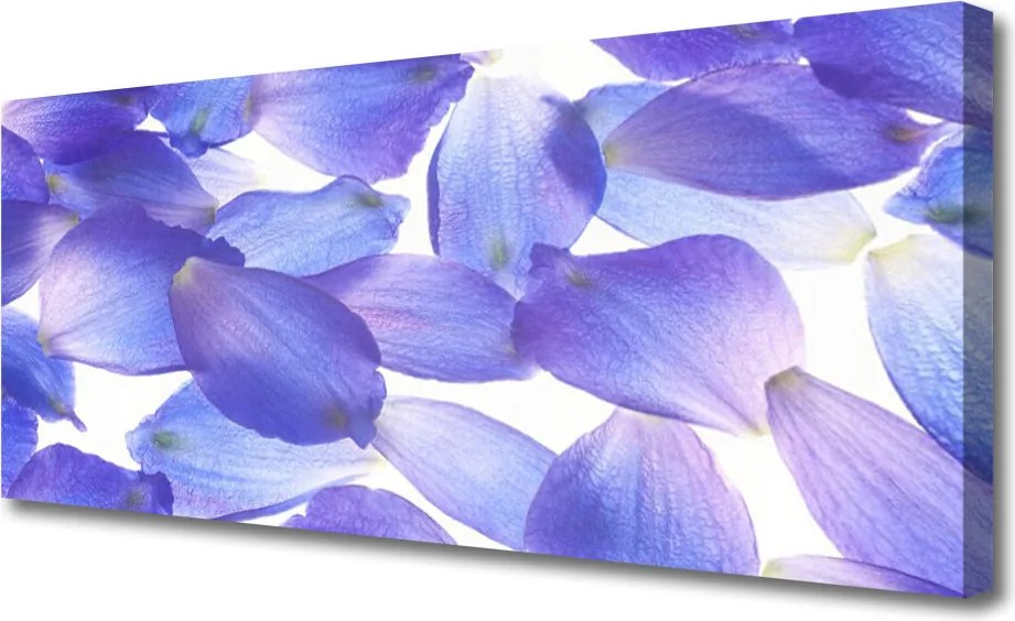 Obraz canvas Delikatność Kwiatowych Płatków