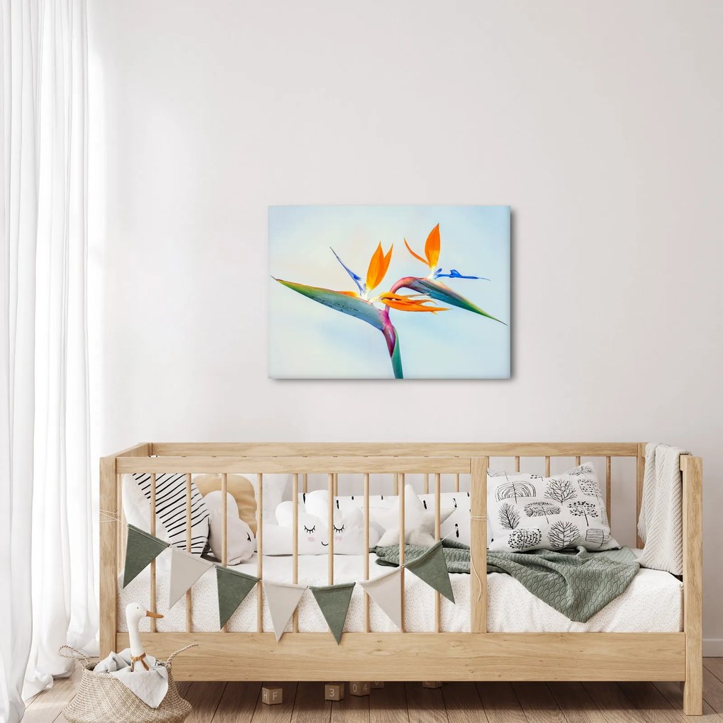 Obraz kwiatu Strelicji (70x50 cm)
