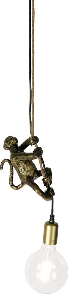 Wisząca lampa vintage złota - Animal Monkey