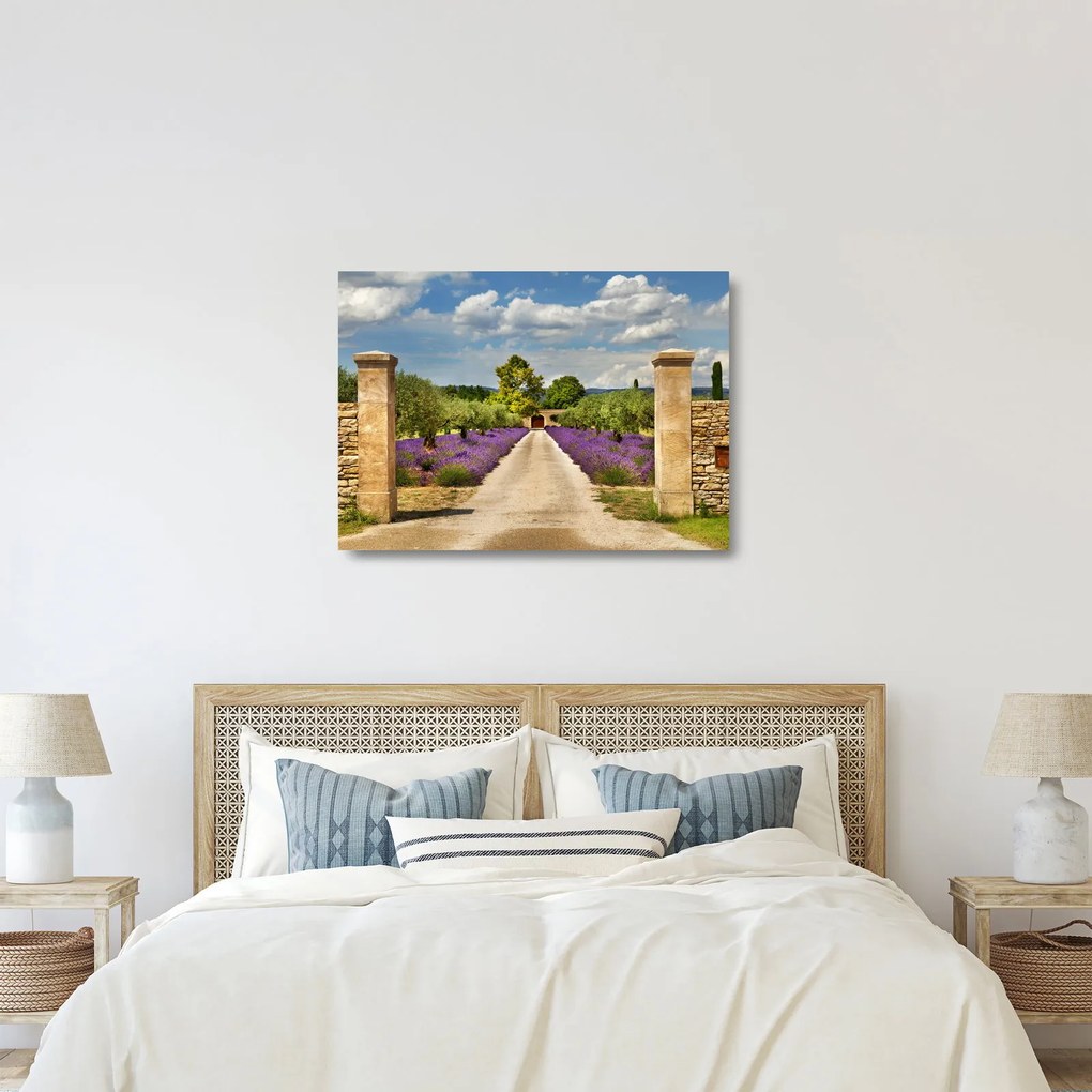 Obraz na szkle - Lawendowe ścieżki (70x50 cm)