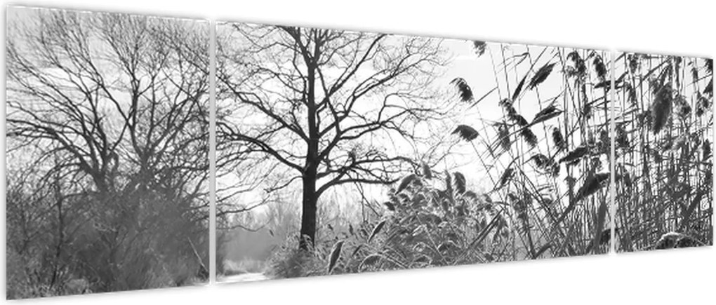 Obraz - Pola w zimie (170x50 cm)