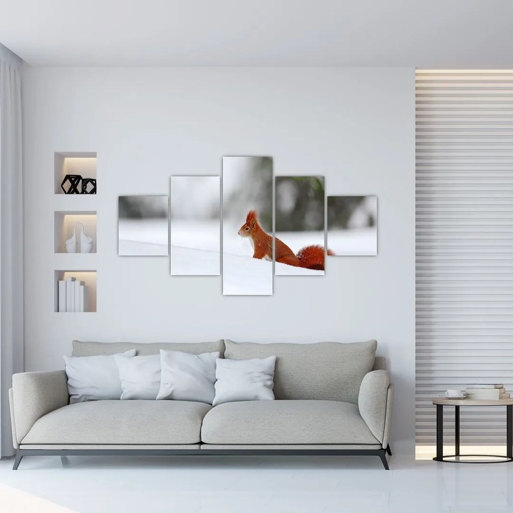 Obraz wiewiórki (125x70 cm)