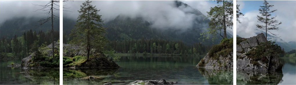 Obraz drzew w jeziorze (170x50 cm)