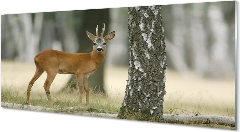 Szkło Ozdobne do Kuchni Król Lasu w Swoim Królestwie